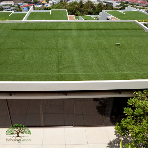 3 Benefits of Rooftop Turf in Toronto