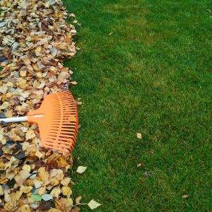 Benefits of Installing Artificial Grass in the Fall