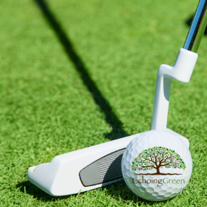 Actualize Your Backyard Golf Green Dreams in a Few Simple Steps