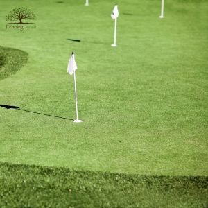 What to Consider Before Designing Your Putting Green