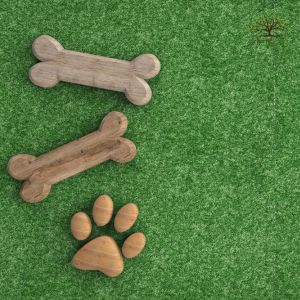 What to Put Under Artificial Grass for Pets