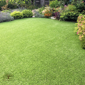 Boost Curb Appeal with Artificial Grass in Toronto