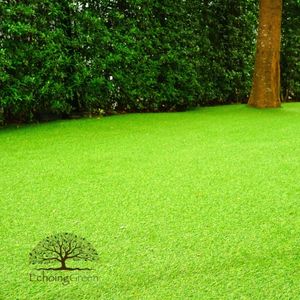 Why UV Protection is Important When Installing Artificial Grass for Rooftops