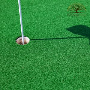 backyard putting green